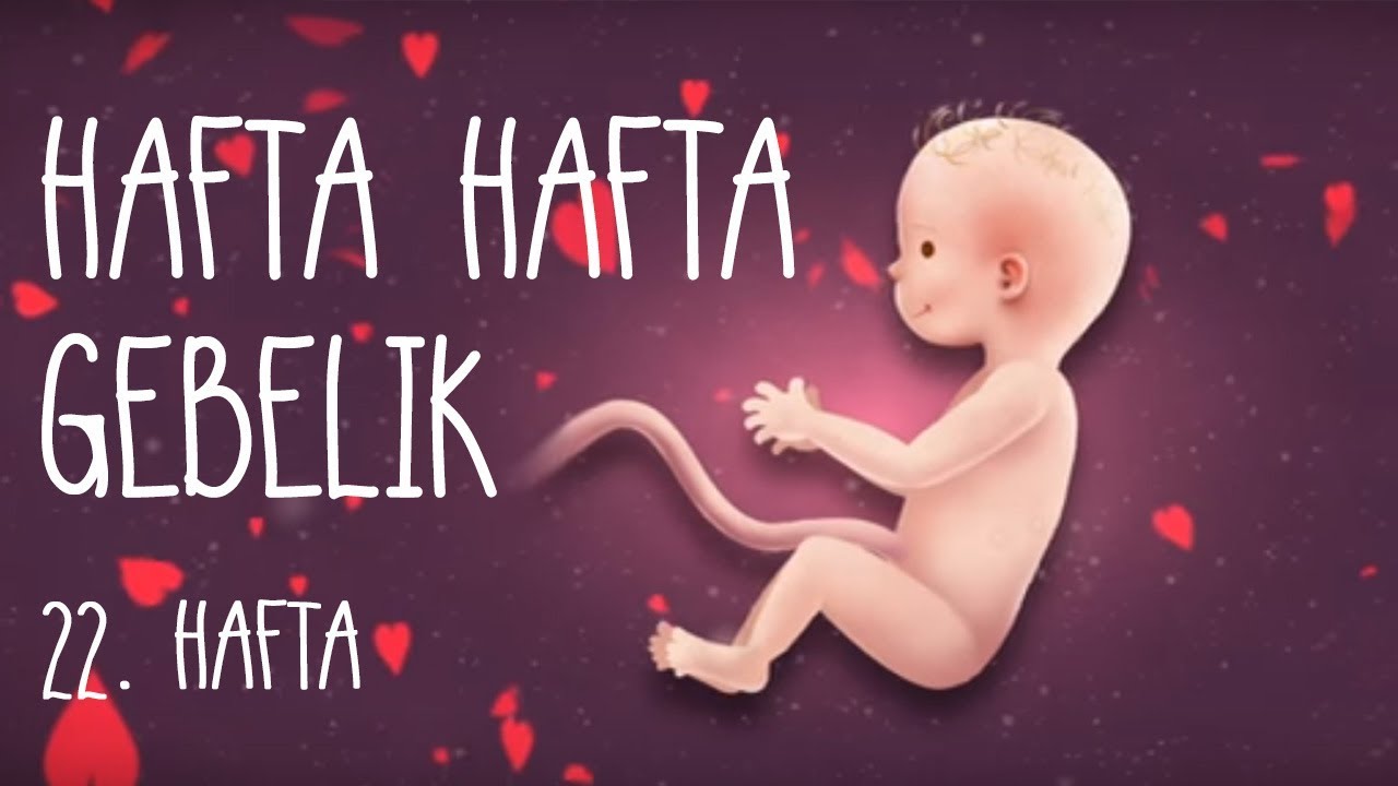 Hafta Hafta Gebelik 22. Hafta - YouTube