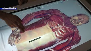 Anatomage tables help students learn about the human body