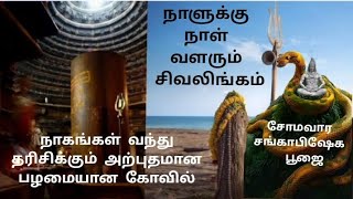 *ஆத்தூர் செங்கல்பட்டு  3500 ஆண்டு பழமையான ஸ்ரீ அருள் மிகு வழித்துணை பணீஸ்வரர்கோவில் 108 சங்காபிஷேகம்