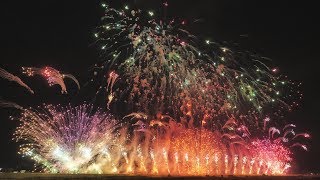 2019神明の花火【マルゴー】グランドフィナーレ