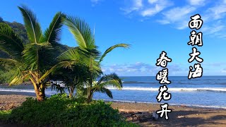 海子散文诗欣赏《面朝大海 春暖花开》给陌生人最好的祝愿