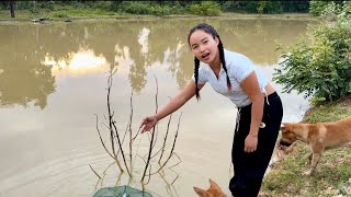 ใส่ตุ้มกุ้งเอาปลาข่อน ໃສ່ຕຸ້ມກຸ້ງເອົາປາຂ້ອນ