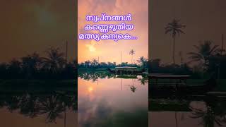 സ്വപ്നങ്ങൾ കണ്ണെഴുതിയ #malayalam #music #nature #love 🌹🌹