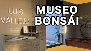 Museo Bonsái Luis Vallejo