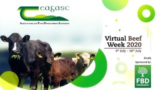 Teagasc: Virtual Beef Week Day 3