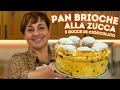 PAN BRIOCHE ALLA ZUCCA E GOCCE DI CIOCCOLATO Ricetta Facile - Fatto in Casa da Benedetta