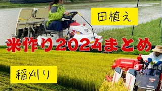 【農業女子】2024年米作りまとめ【新規就農】