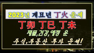 [2023년 계묘년] 토끼해 사주의 일간이 丁(丁卯 丁巳 丁未)火 일에 태어난 사람들의 재물복,건강운,애정운,주식투자,부동산 거래 매매 운세 알아 보기[행운의신사주풍수]