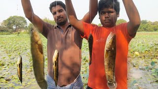 Fish Hunting /😁🎣விராலுக்கு தூண்டில் போட்டா /குராவை மீன் மாட்டுது🤔 part 1