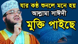 হুবহু সাঈদী ফটোকপি ।। মাওঃ মহিবুল্লাহ সিদ্দিকী ওয়াজ ।। Maulana Mohibullah Siddique new waz 2020