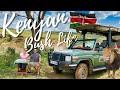 WILD Safari Camp NO FENCE / Every Big Cat Before 10am /🇰🇪 Maasai Mara National Reserve Kenya