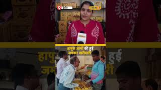 Mango Jatra में हापुस आमों का बोल-बाला, इंदौरियों को भाए हापुस आम #local18shorts