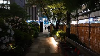 2024 有楽町-銀座-日本橋 昭和響く 240621