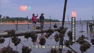 【金門】跟著風獅爺跳島去！！【愛玩客 苡喬】20120720 #40