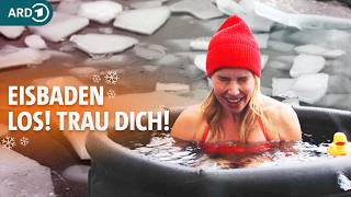 Mit Eisbaden das Immunsystem stärken? So gesund ist der Trend | Dr. Julia Fischer | ARD Gesund