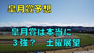 ２０２０年　皐月賞予想　【ぜんこうの競馬予想　土曜版　分析君ソフト使用で皐月賞をチェック　あの馬がこのまだこの人気】