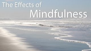 The Effects of Mindfulness