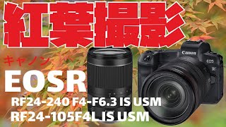 【レンズ販売】Canon RF24-240mm F4-6.3 IS USM★ＲF 24-105mm F4 L IS USM★キャッシュバックキャンペーンEOS R 激安販売！【 HDR高橋】#キャノン