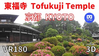 VR180  京都観光 東福寺 02 Japan KYOTO Tofukuji Temple