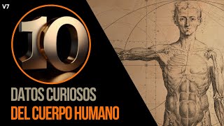 10 curiosities of the human body