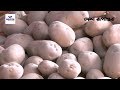 আলুর কেজি ৪৫ টাকা potato price bazar desh rupantor