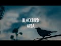 Beatles (Cover by Aria Nanji) - Blackbird (Lyrics)