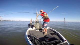 McGrath Lures Cod Cruncher Spinnerbaits