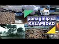 PANAGINIP SA KALAMIDAD, Lindol, Sunog, Baha, Bagyo, Bulkan | Gabay at PampaSwerte