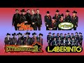 LOS TIGRES DEL NORTE, GRUPO LABERINTO, EXTERMINADOR, LOS TUCANES DE TIJUANA - CORRIDOS MIX 2021