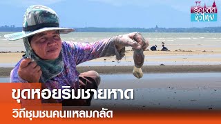 ขุดหาหอยริมทะเล วิถีชุมชนคนแหลมกลัด  | เรื่องดีดีทั่วไทย | 20-6-67