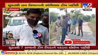 'Man-eater' leopard haunts Ghoghamba villagers, Panchmahal | Tv9GujaratiNews