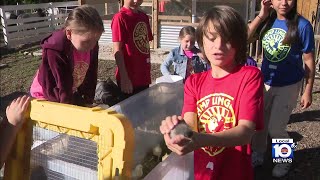 Broward County school uses special, hands-on approach to teach students
