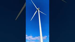 Gigantic \u0026 Beautiful Windmills 💨🙏😍 #windmill #nature #animals #amazing #massive #peaceful #cool