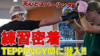 【超過酷?!】試合直前！TEPPENGYMのプロ練に潜入してみた【白鳥大珠】