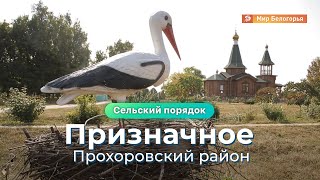 «Сельский порядок». Село Призначное Прохоровского района