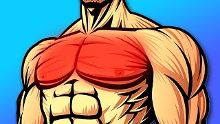 Best Beginners Workout For Your Chest