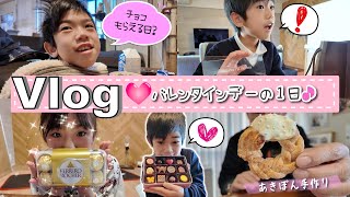 ★Vlog★バレンタインデーにぎんはチョコをもらえたのかな・・・？