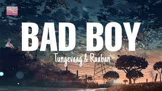 BAD BOY - Tungevaag Raaban ||lyrics video || Feel the lyrics