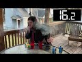 2 Rubiks Cubes 2 Cig 2 Beer SPEEDRUN (FORMER WR) (1:28.37)