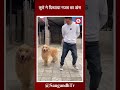 Dog ने दिखाया गजब का डांस @saugandhtv #shortfeed