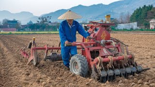 China's Farming Secrets ~ Tradition Meets Tech! #farming #chinafarming #traditional #youtube