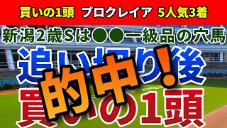 新潟2歳ステークス2024 追い切り後【買いの1頭】公開！人気サイドで最もおいしく買える馬は？実力馬しか送り込まないクラブ法人に注目！