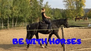 How I started riding my Andalusian horse Dante Cortessan  -  Music video