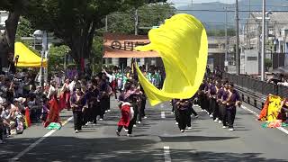 2019 5 25　豊川おいでん祭　ケヤキ会場　愛知淑徳大学 鳴踊