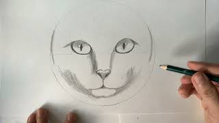 ¿Cómo dibujar un gato fácil? Clases de dibujo (realista) How to draw a cat easy?
