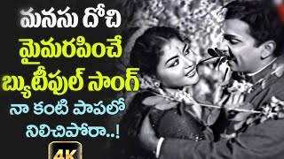 Vagdanam Songs - Naa Kanti Papalo - Akkineni Nageshwara Rao,Krishna Kumari - HD - Suryas Tv