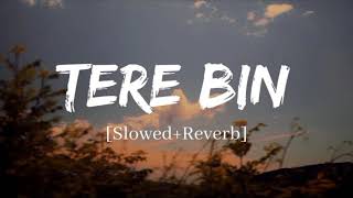 Tere bina to haal hai aisa ( slow & reverb ringtone ) #lofimusic #new #ringtone #slowreverbsongs