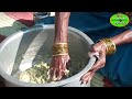 palak paratha recipe in telugu పాలక్ చపాతీ palak paratha పాలక్ పరాట publictalktv