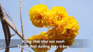 ✳ 5 bài THIỀN CA LÀNG MAI (có Lyrics, hình Làng Mai tuyệt đẹp) giúp bạn THẢNH THƠI, AN VUI