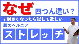 腰の椎間板ヘルニアで痛みやしびれが７割良くなったら試して欲しい四つん這いストレッチ